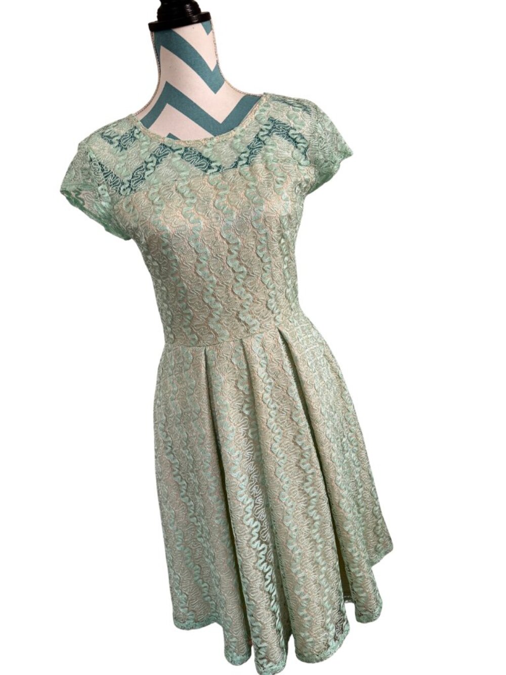 The Apricity Sage | Floral Lace Cap Sleeve Fit & Flare Dress